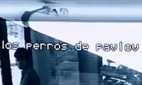 Los perros de Pavlov poster