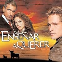 Te Voy a Enseñar a Querer poster