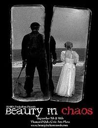 Beauty in Chaos poster
