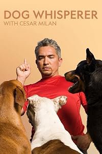 Dog Whisperer with Cesar Millan poster