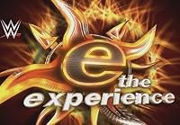 WWE Experience poster