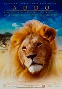 Addo, koning der dieren poster