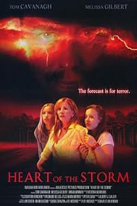 Heart of the Storm poster