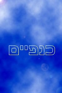 Knafayim poster