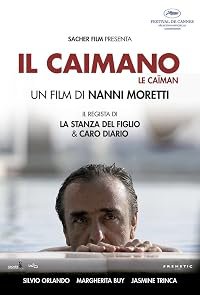 Il caimano poster