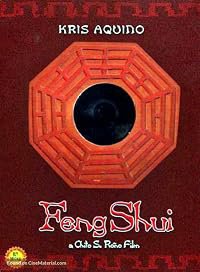 Feng Shui poster