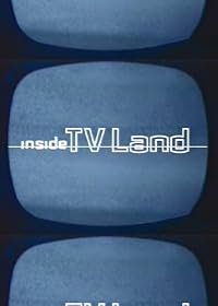 Inside TV Land: Primetime Politics poster