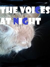 Stimmen in der Nacht poster