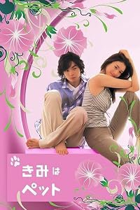 Kimi wa petto poster