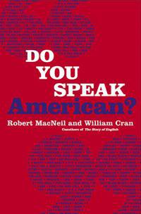Do You Speak American? poster