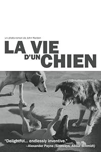 La vie d'un chien poster
