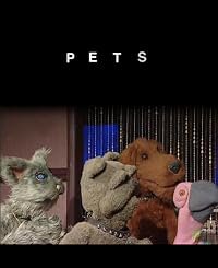 Pets poster