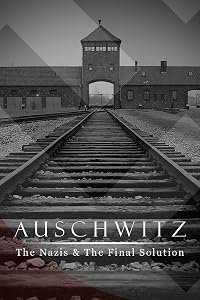 Auschwitz: The Nazis &amp; the 'Final Solution' poster