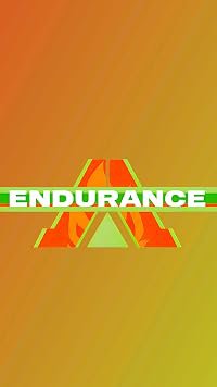 Endurance poster