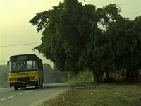 A Tree in Tanjung Malim poster
