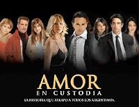 Amor en custodia poster