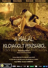 A halál kilovagolt Perzsiából poster