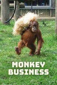 Monkey Business poster