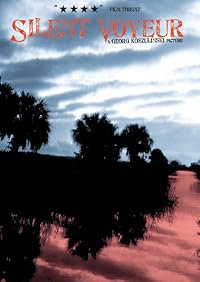 Silent Voyeur poster