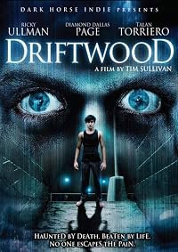 Driftwood poster
