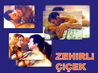Zehirli Çiçek poster