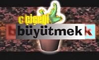 Çiçegi Büyütmek poster