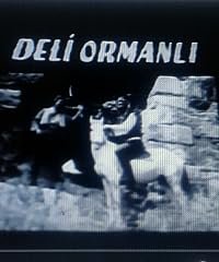 Deli Ormanli poster