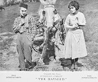 The Hayseed poster