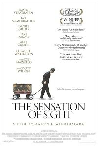 The Sensation of Sight poster