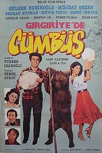 Girgiriye'de Cümbüs poster