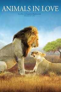 Les animaux amoureux poster