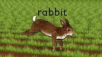 Rabbit poster