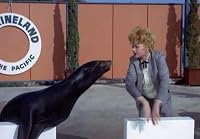 Lucy at Marineland poster