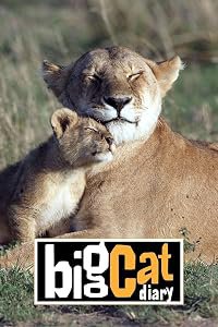 Big Cat Diary poster