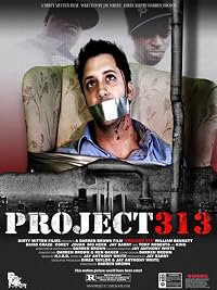 Project 313 poster