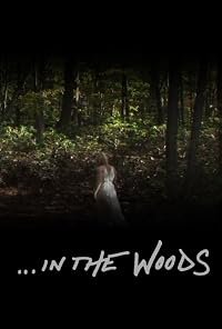 In the Woods poster