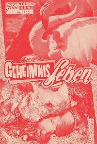 Geheimnis Leben poster