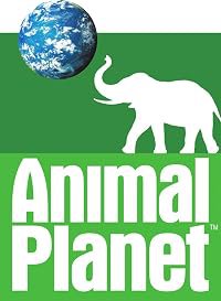 Animal Planet Sporthorse Cup poster