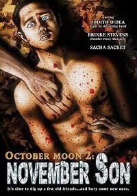 October Moon 2: November Son poster