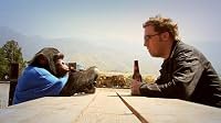 Chimps Are People Too poster