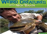 Weird Creatures poster