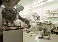Dodo Madness poster