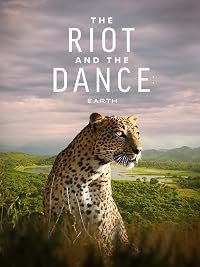 The Riot and the Dance poster
