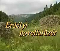 Erdélyi novellafüzér poster