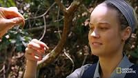 Brie Larson in the Pearl Islands poster