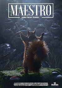 Maestro poster