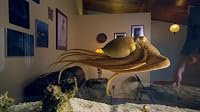 The Octopus in My House poster