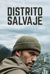 The District poster