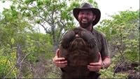 The Galapagos Giant poster