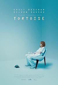 Tortoise poster